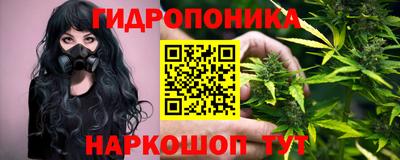 бошки Тара