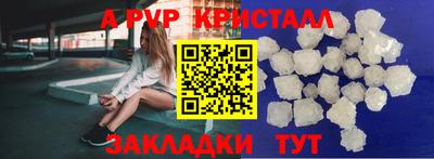 бошки Тара