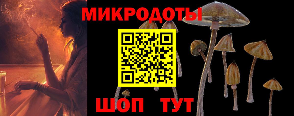 Псилоцибиновые грибы GOLDEN TEACHER  Псилоцибиновые грибы MAGIC MUSHROOMS  Кохма  Вход с VPN 